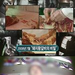 [소비자불만제로]쥐 배설물과 뒤섞인 '돼지왕갈비' <b>제조</b> 현장 포착...