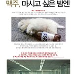 급맥주땡기는 주말에 마실만한 저칼로리 맥주는? ㅋㅋㅋ