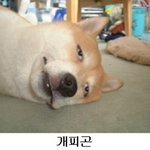<b>토</b><b>욜</b>인데도 출근...