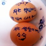 너무나 귀여운 우리엄마를 소개합니다(사진왕창有)