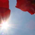 [설화수] 더 이상 열 노화로 부터 고민하지 마세요~ 소선보가 있잖아요^