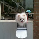 정치박물관 '아고라'를 다녀와서