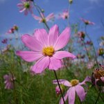 아이들과 함께 다녀온 <b>롯데</b>월드 할로윈 파티 :)