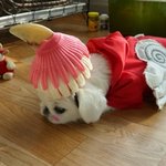 소녀시대가 <b>ost</b>에 참여한 애니메이션 "내 친구 해치" 실사버젼