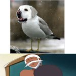 내 남자는 수호천샄ㅋㅋ필살기 추천요!(그림有)