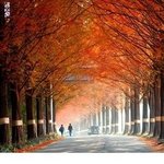 [<b>설화수</b>] 가을여행에 빠져선 안될 소선보!