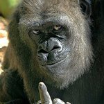 네이트온 해킹 복수극