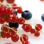 냠냠냠 맛있는 음식의 향연! 2010년 food <b>week</b> 식품박람회~