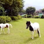 주말에 애들데리고 유일<b>레저</b>타운 가려고 원데이몰에서 구매했어요
