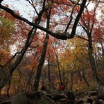 핏빛 <b>설악산</b> 단풍 !!