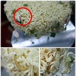 <b>농심</b> 컵라면 벌레 나왔다고?