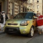 뉴규? 홈플러스에 쏘울 타고와서 힙합 춤을 추는 이 햄스터는?