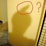 p <b>t</b>우리집 귀염둥이들~ (사진有