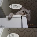 날치알 <b>새우</b> 오븐구이