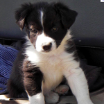 외국인 남자친구 내 얘기도 올려봐용 <영국에서> 1