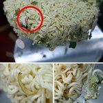 <b>농심</b> 이물질 사건 말인데요