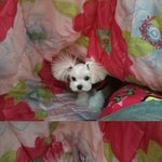 겨울철 <b>정전기</b> 피해 조심하세요!