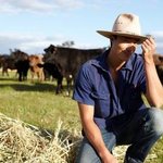 돌아온 ‘꽃농부’ 다니엘 헤니…영농후계자 포스