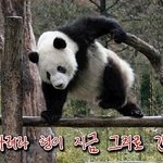 아놔 열받네 아이폰이고 뭐시고.
