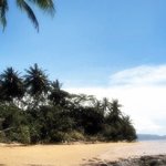 [호주] ◆호주 케언즈 (cairns) 파란만장 <b>정착</b>기~^^!