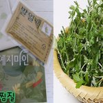 여성필독! 꼭알아야두어야 할듯