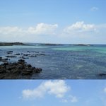 [제주의 멋] 추천 드라이브 코스!