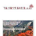 <b>단풍</b>놀이 가기전 갖춰야 할 것들