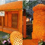 제주도 가을 여행 추천! 11월 제주도 가을 축제가 한눈에!