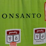 몬산토의 생명공학 <b>작물</b> 기술