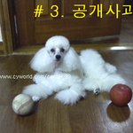 나의어린?아빠에피소드.....실화임^-^사진有