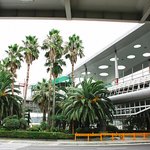 혼자 제주도 여행 다녀왔습니다^^