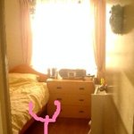 y의 좌충우돌 일본 유학기 4