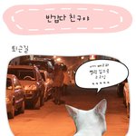 [<b>칼리</b>'s diary] 반갑다 친구야