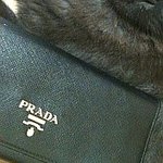 10/30일 부산 169버스 당감동방면 오후10시 <b>프라다</b>지갑 분실!!