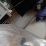 제가 <b>계량컵</b>이랑 비닐봉지로 똥파리를 잡았어요!!!!!!!!!!!...