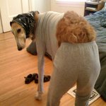 이거보니까 <b>따듯</b>하다