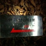 친구들과 야간등반하다가 죽을뻔한 사연