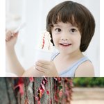 미모돋는 한국 혼혈 남여 아기들