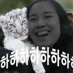 궁금한게 있어서요 ... ;; 답변 부탁드려요 ...