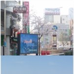 부산사람이 떠난 부산여행기 ^^