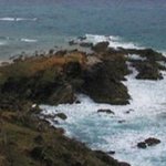 호주 ＊바이런<b>베이</b> ＊를 아시나요~^_^♥