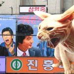 (실화) 퍅셔내 - 이상한 경험들.. [5편]