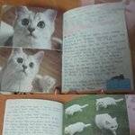 내 인생 살면서 가장 무서웠던 꿈 (사진있음ㅋ)