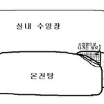 알몸으로 수영장 <b>난입</b>한 사건ㅡㅡ;