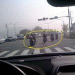 길거리폭주족.... <b>철판</b>안면인가봐요..