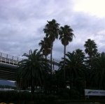 <b>복학</b>하기전에 떠난 3박4일 나홀로 제주도 자전거 일주