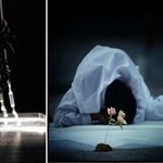 신기한 사진과 놀라운 행위예술!