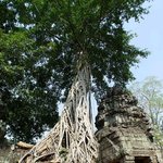 [문화기행]동방의 신비 캄보디아 앙코르와트