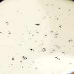 우왓~ 콩(두유)이 유방암 <b>재발</b>률을 낮춰준다네요!