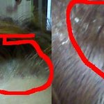 미용실에서 뿌리염색했는데 <b>진물</b>이..사진 有